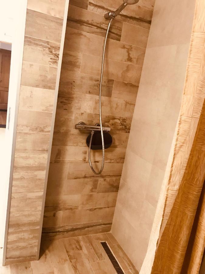 Vila Nona Apartment シビウ エクステリア 写真