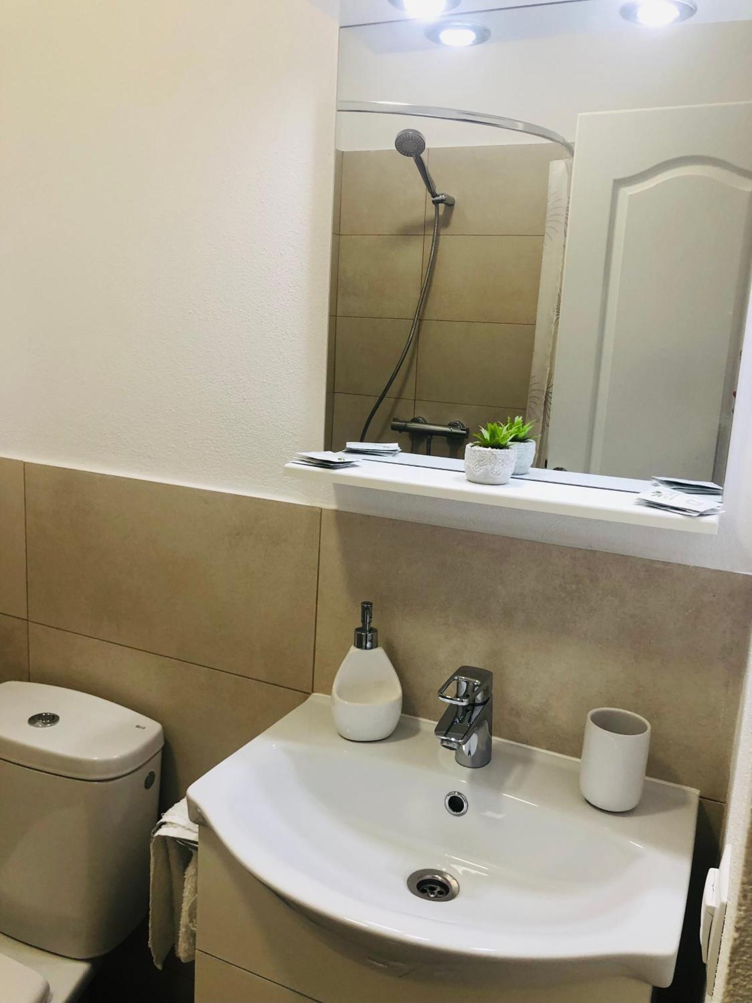 Vila Nona Apartment シビウ エクステリア 写真