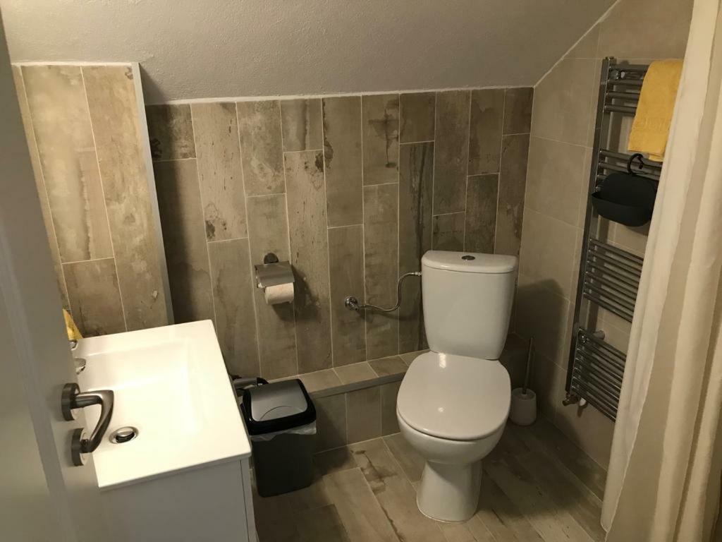 Vila Nona Apartment シビウ エクステリア 写真